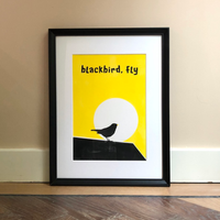 blackbird illustratie-1